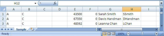 Screenshot of sample ACH file with spreadsheet format with customer code
